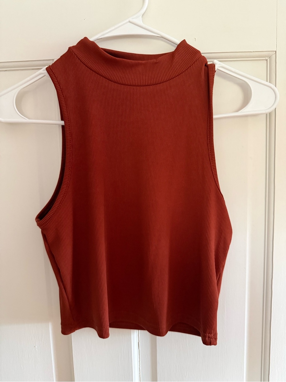 Ribbed Sleeveless Mock Neck Crop Top in Rust